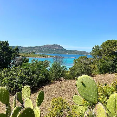 Sea&sage 4 Spiagge Raggiungibili A Piedi, Per Famiglie Con Tutti I Servizi Lägenhet